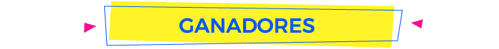 Ganadores VI edición
